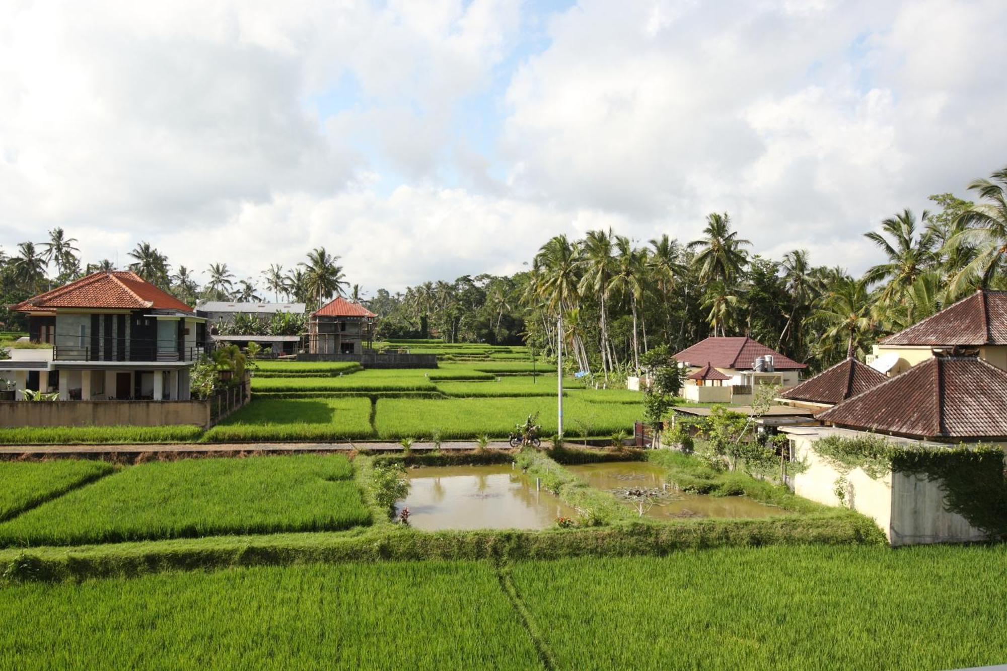 Swarapadi Villa Ubud Eksteriør bilde
